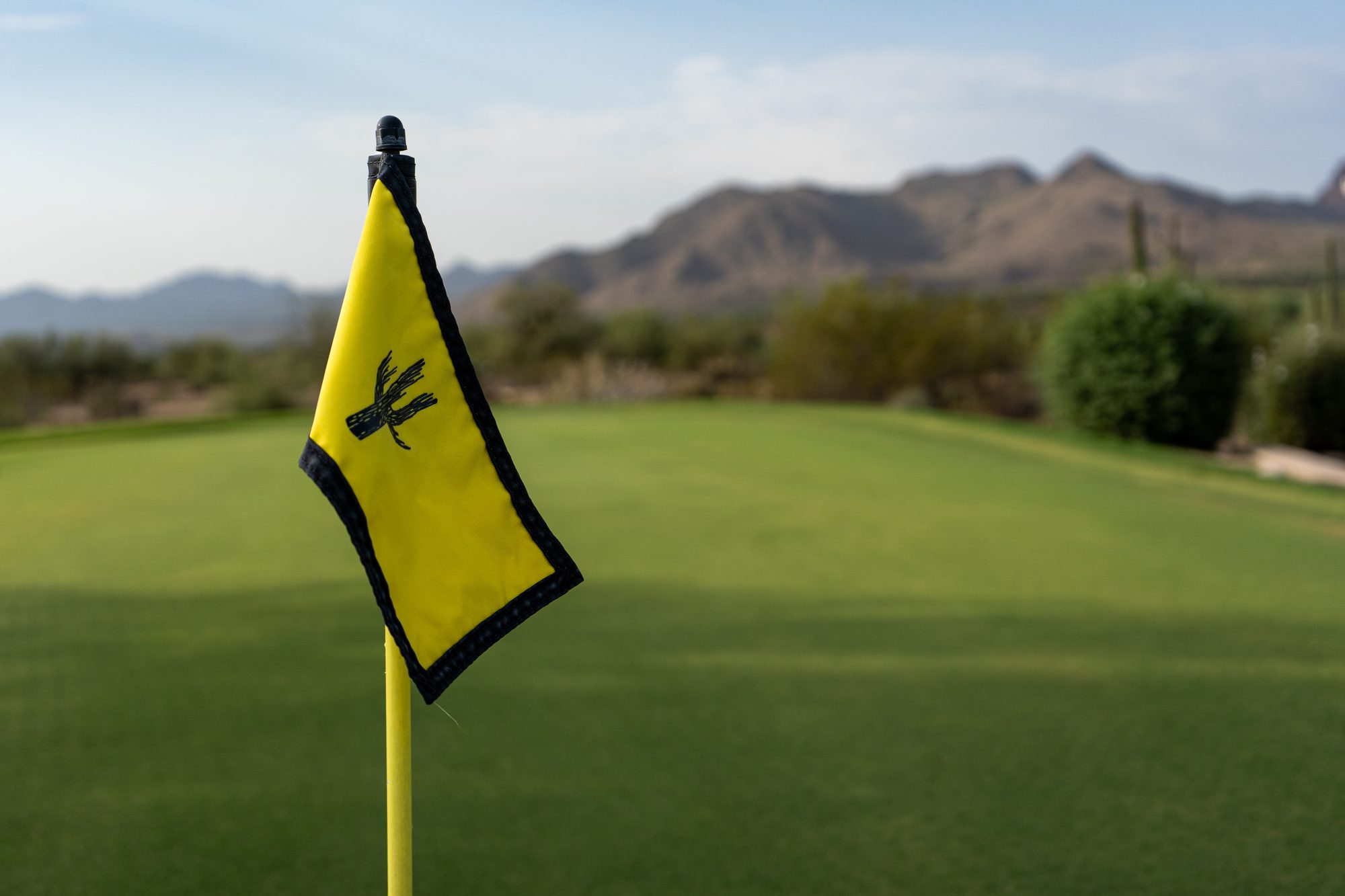 Yellow pin flag with a cactus logo on a desert green, mountains behind