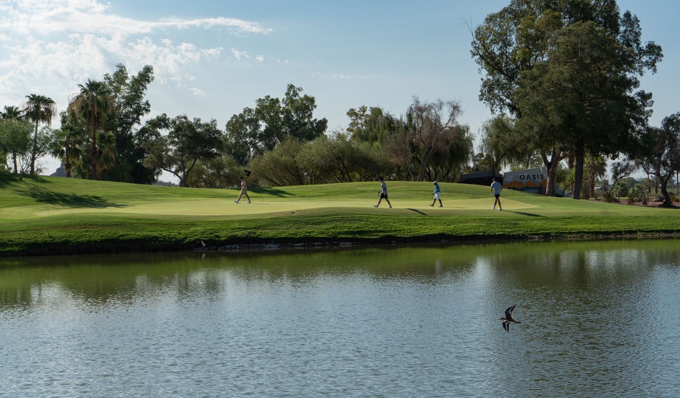Group walking across a green beyond a pond as a bird skims the water